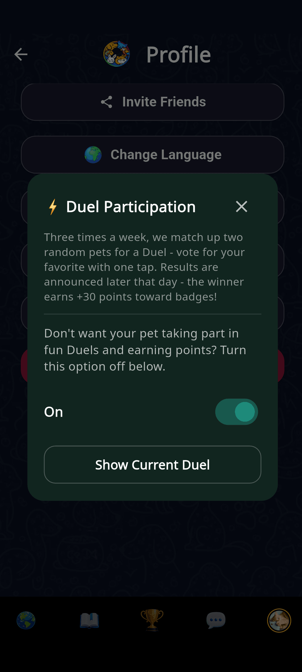 Duel participation settings